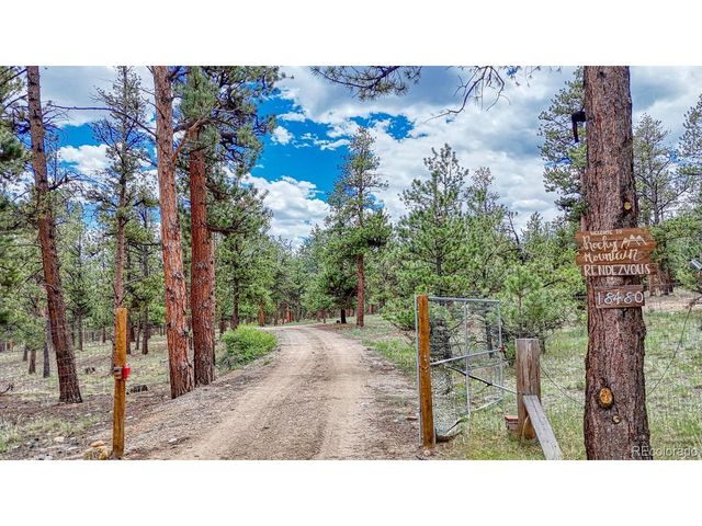 18480 Ponderosa Ln, Buena Vista, CO 81211