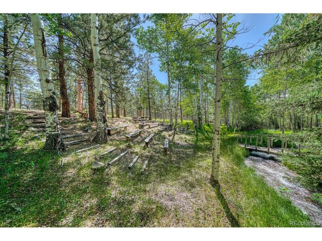 18480 Ponderosa Ln, Buena Vista, CO 81211