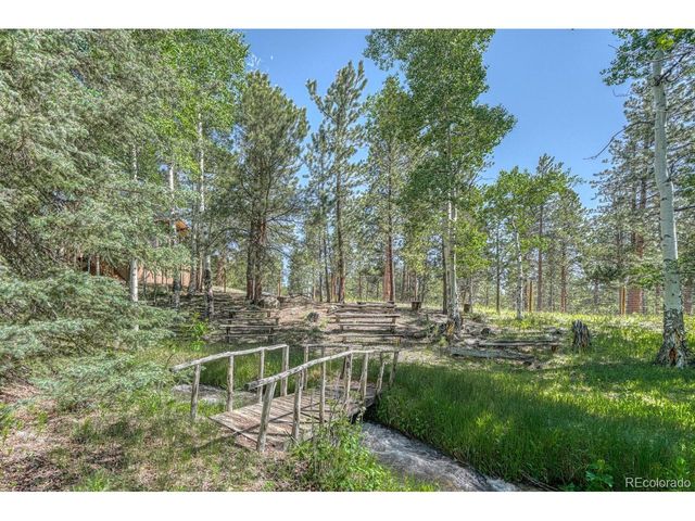 18480 Ponderosa Ln, Buena Vista, CO 81211