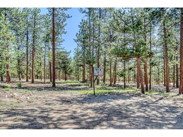 18480 Ponderosa Ln, Buena Vista, CO 81211