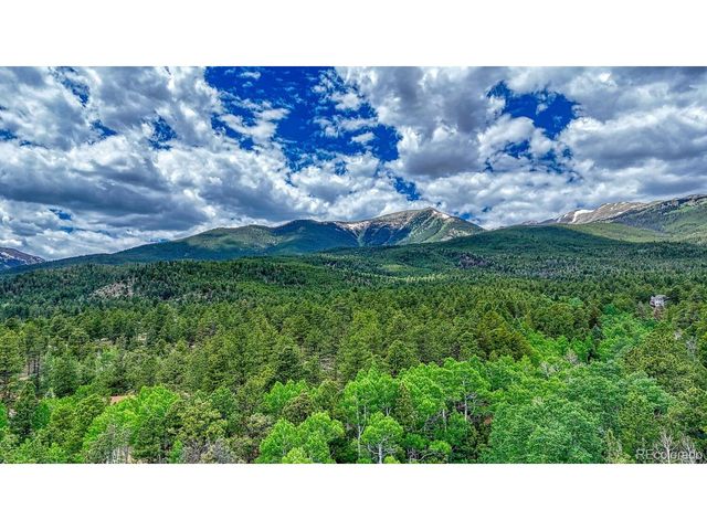 18480 Ponderosa Ln, Buena Vista, CO 81211