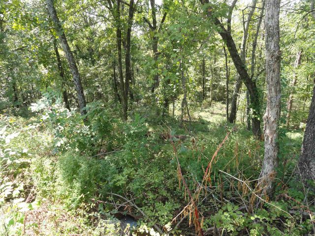 4971 US-65 N Highway, Clinton, AR 72031