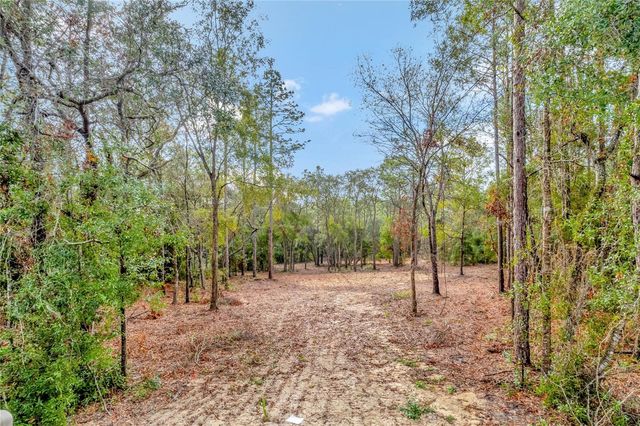 1716 E BISMARK STREET, Hernando, FL 34442