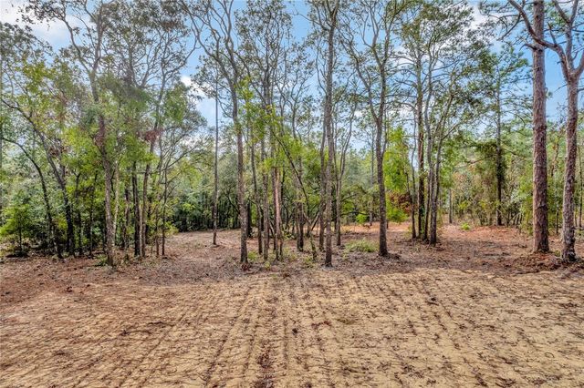 1716 E BISMARK STREET, Hernando, FL 34442