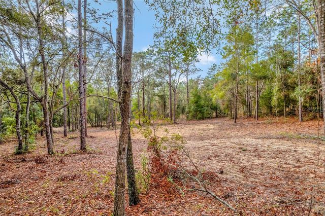 1716 E BISMARK STREET, Hernando, FL 34442