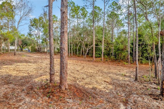1716 E BISMARK STREET, Hernando, FL 34442