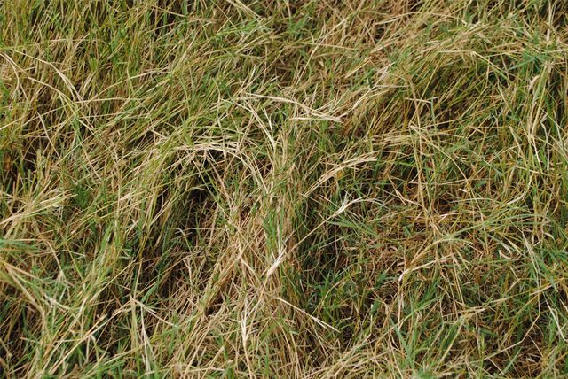 TBD County Road 150, Comanche, TX 76442