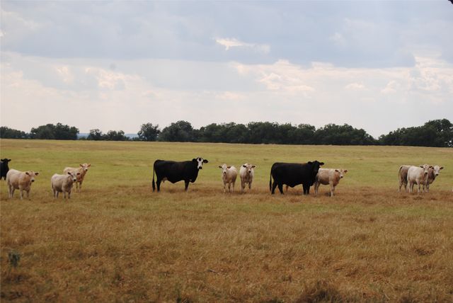 TBD County Road 150, Comanche, TX 76442