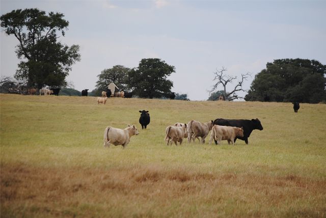 TBD County Road 150, Comanche, TX 76442