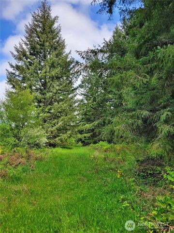 213 Sommerville Road, Chehalis, WA 98532