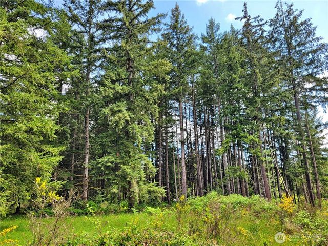 213 Sommerville Road, Chehalis, WA 98532