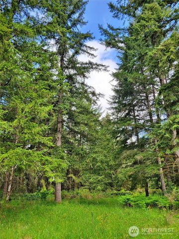 213 Sommerville Road, Chehalis, WA 98532