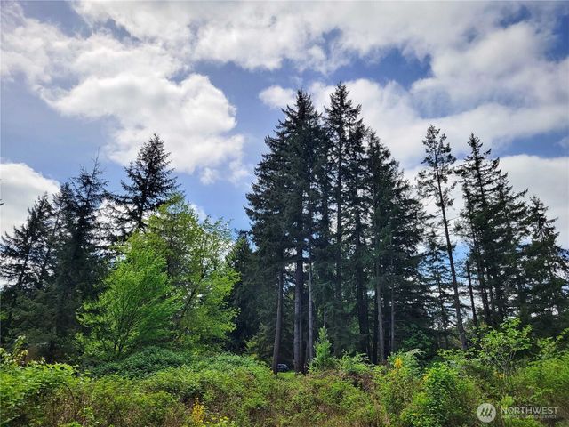 213 Sommerville Road, Chehalis, WA 98532