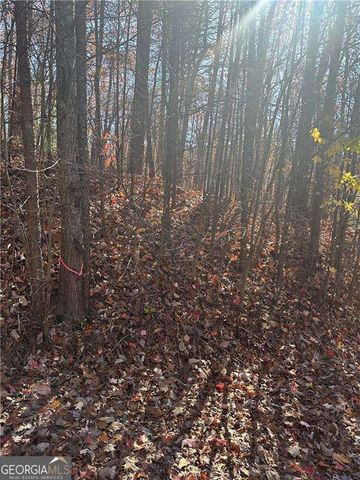 503 Saint Andrews Way, Ellijay, GA 30536