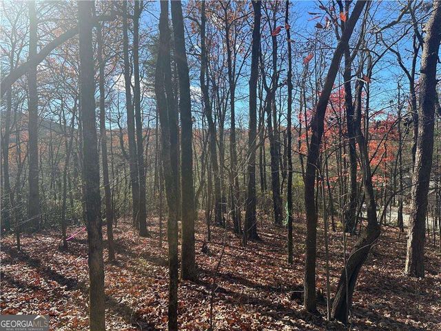 503 Saint Andrews Way, Ellijay, GA 30536