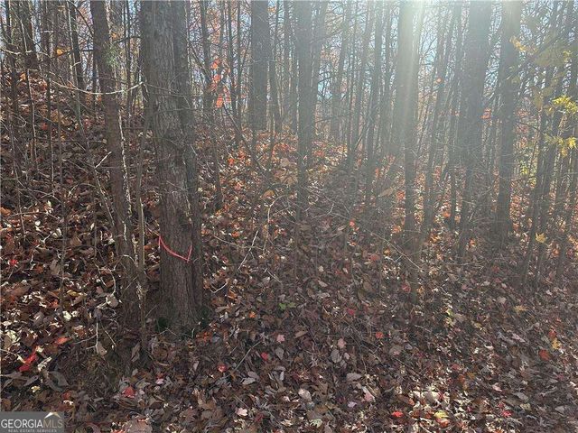 503 Saint Andrews Way, Ellijay, GA 30536