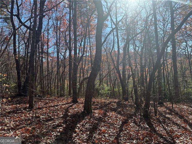 503 Saint Andrews Way, Ellijay, GA 30536