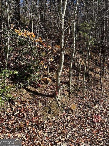 503 Saint Andrews Way, Ellijay, GA 30536