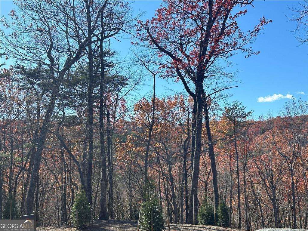 503 Saint Andrews Way, Ellijay, GA 30536