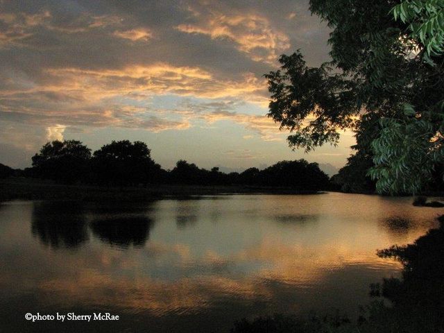 112 Yorktown ST, Georgetown, TX 78633