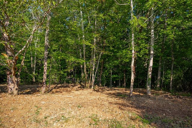 0 Cookeville Hwy, Smithville, TN 37166