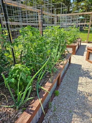 444 Sweetbriar Drive, Marshfield, MO 65706