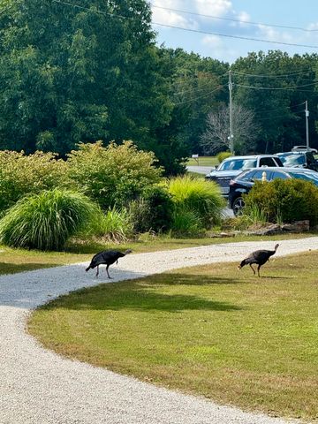 444 Sweetbriar Drive, Marshfield, MO 65706