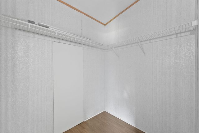 16212 Lone Star Ranch Drive, Conroe, TX 77302