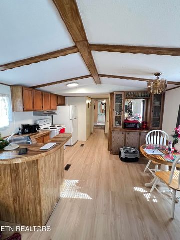 106 Meadowview Lane, Decatur, TN 37322