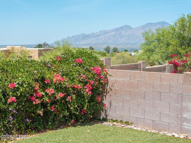 780 S Shadow Tree Place, Tucson, AZ 85748
