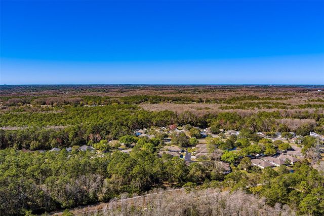 4405 CONNERY COURT, Palm Harbor, FL 34685