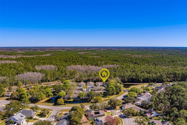 4405 CONNERY COURT, Palm Harbor, FL 34685