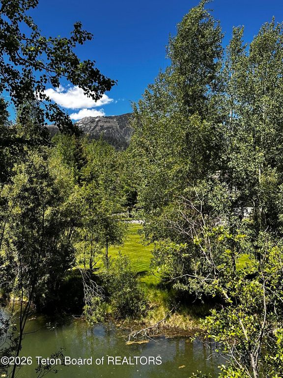 4325 SPRING VIOLET Court, Wilson, WY 83014 photo 24