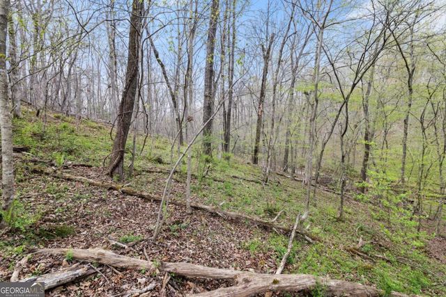 87 Tolleffs Trail, Dahlonega, GA 30533