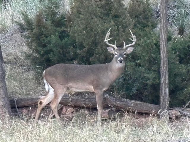 109 S Lakeshore Drive, Ransom Canyon, TX 79366