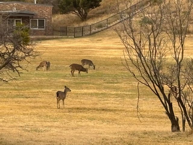 109 S Lakeshore Drive, Ransom Canyon, TX 79366