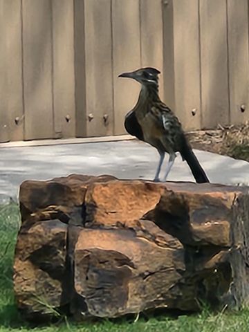 109 S Lakeshore Drive, Ransom Canyon, TX 79366