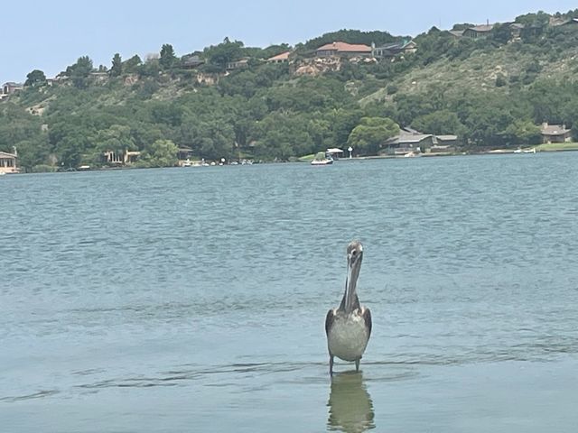 109 S Lakeshore Drive, Ransom Canyon, TX 79366