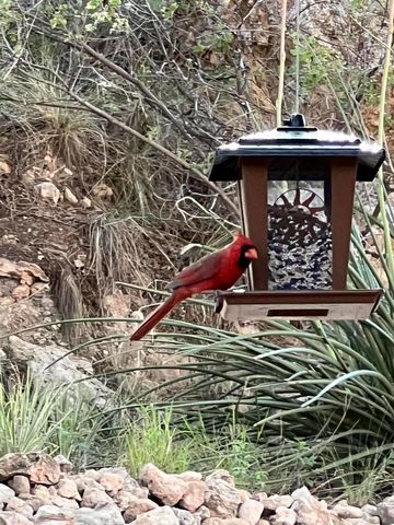 109 S Lakeshore Drive, Ransom Canyon, TX 79366