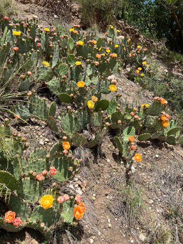 109 S Lakeshore Drive, Ransom Canyon, TX 79366