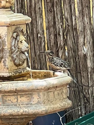 109 S Lakeshore Drive, Ransom Canyon, TX 79366