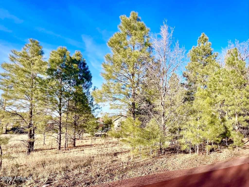 Image 1 of property listing at 2748 Evergreen Drive -, Show Low, AZ 85901