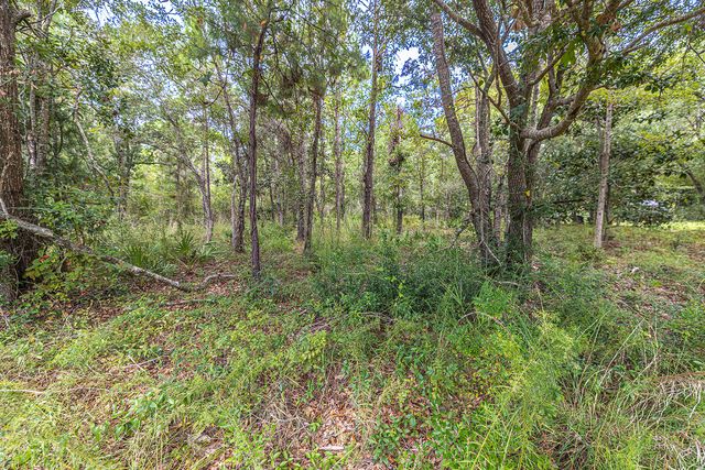 Lot 76 Harbour Trace, Freeport, FL 32439