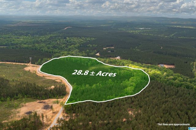 Track 17 HERITAGE PINES WAY, Columbiana, AL 35040