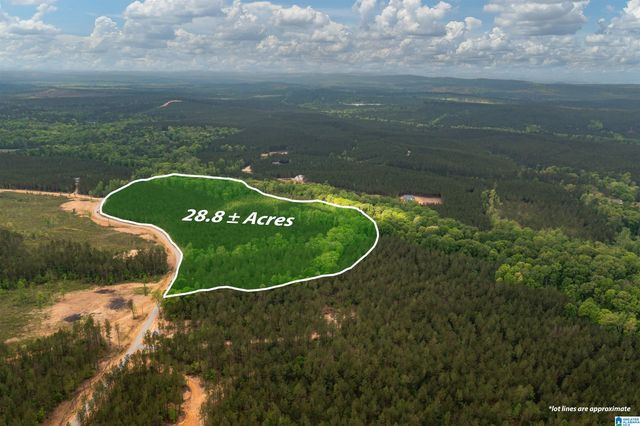 Track 17 HERITAGE PINES WAY, Columbiana, AL 35040