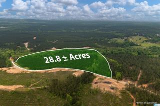 Track 17 HERITAGE PINES WAY, Columbiana, AL 35040