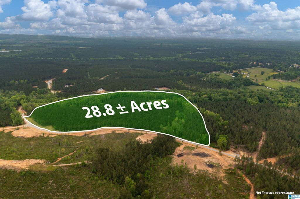 Track 17 HERITAGE PINES WAY, Columbiana, AL 35040