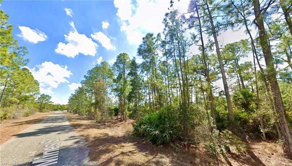 339 Mines ST, LEHIGH ACRES, FL 33972 — photo 3