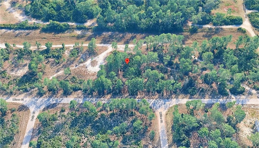 339 Mines ST, LEHIGH ACRES, FL 33972 — photo 4