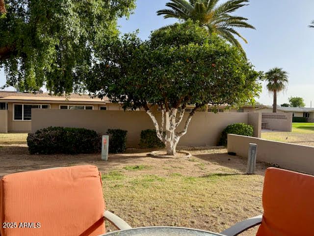 10323 W DEANNE Drive, Sun City, AZ 85351